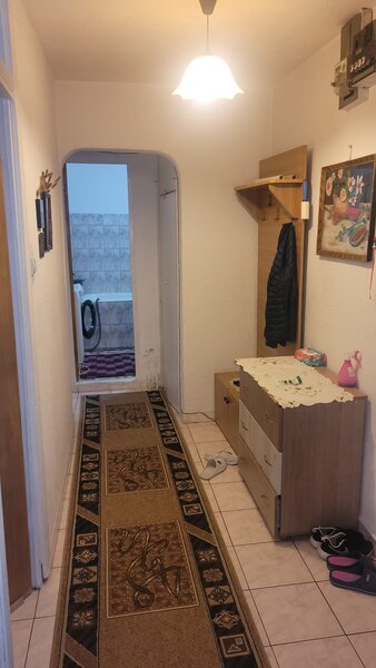 Colentina Teiul Doamnei