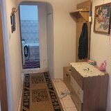 Colentina Teiul Doamnei